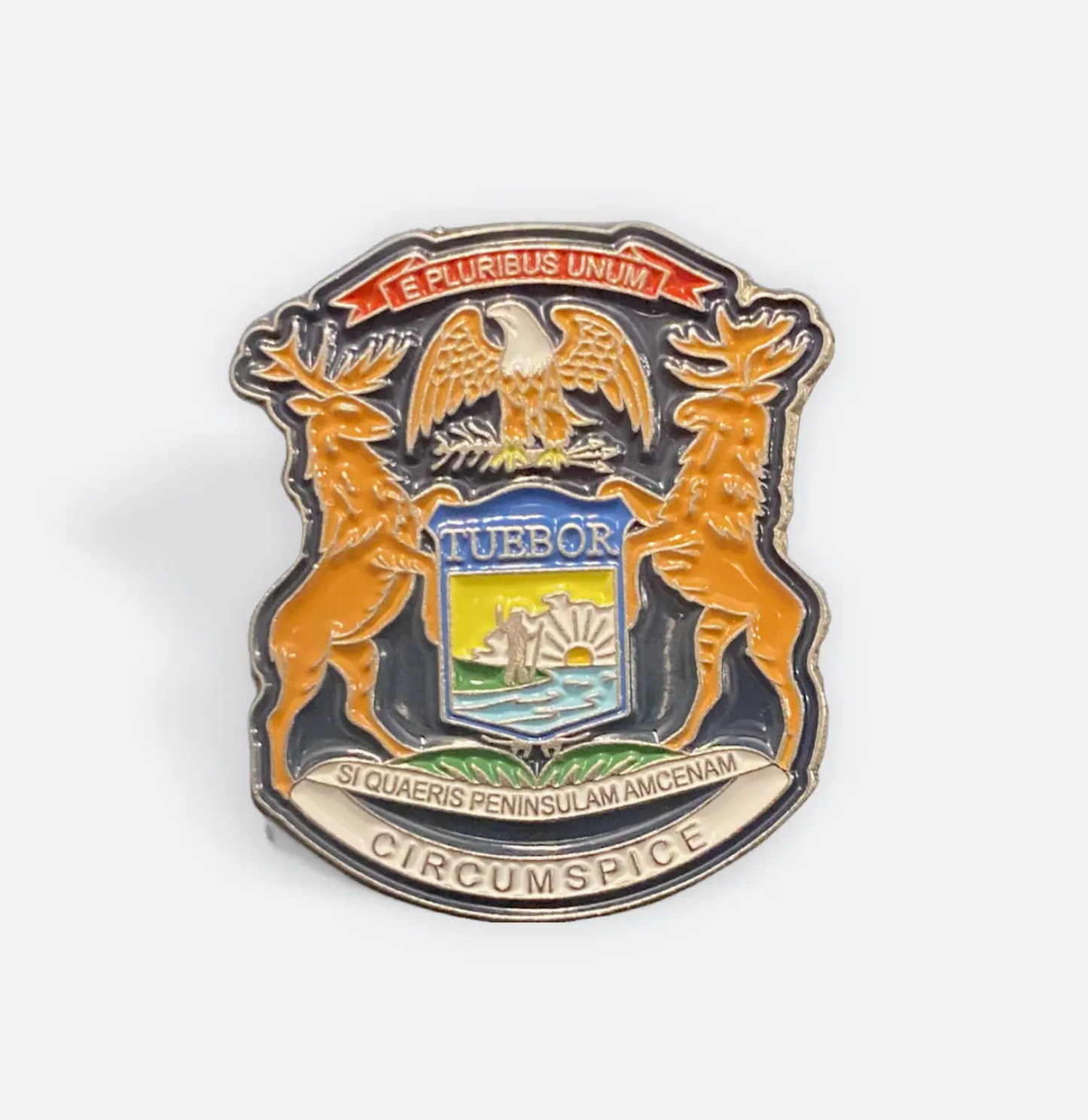 Michigan Flag Pin