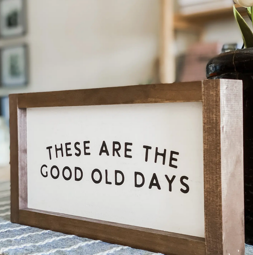 These Are the Good Old Days Framed Sign