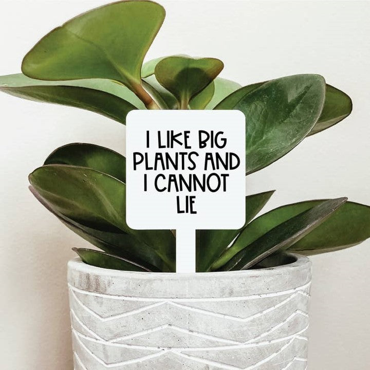 I Like Big Plants And I Cannot Lie Plant Marker