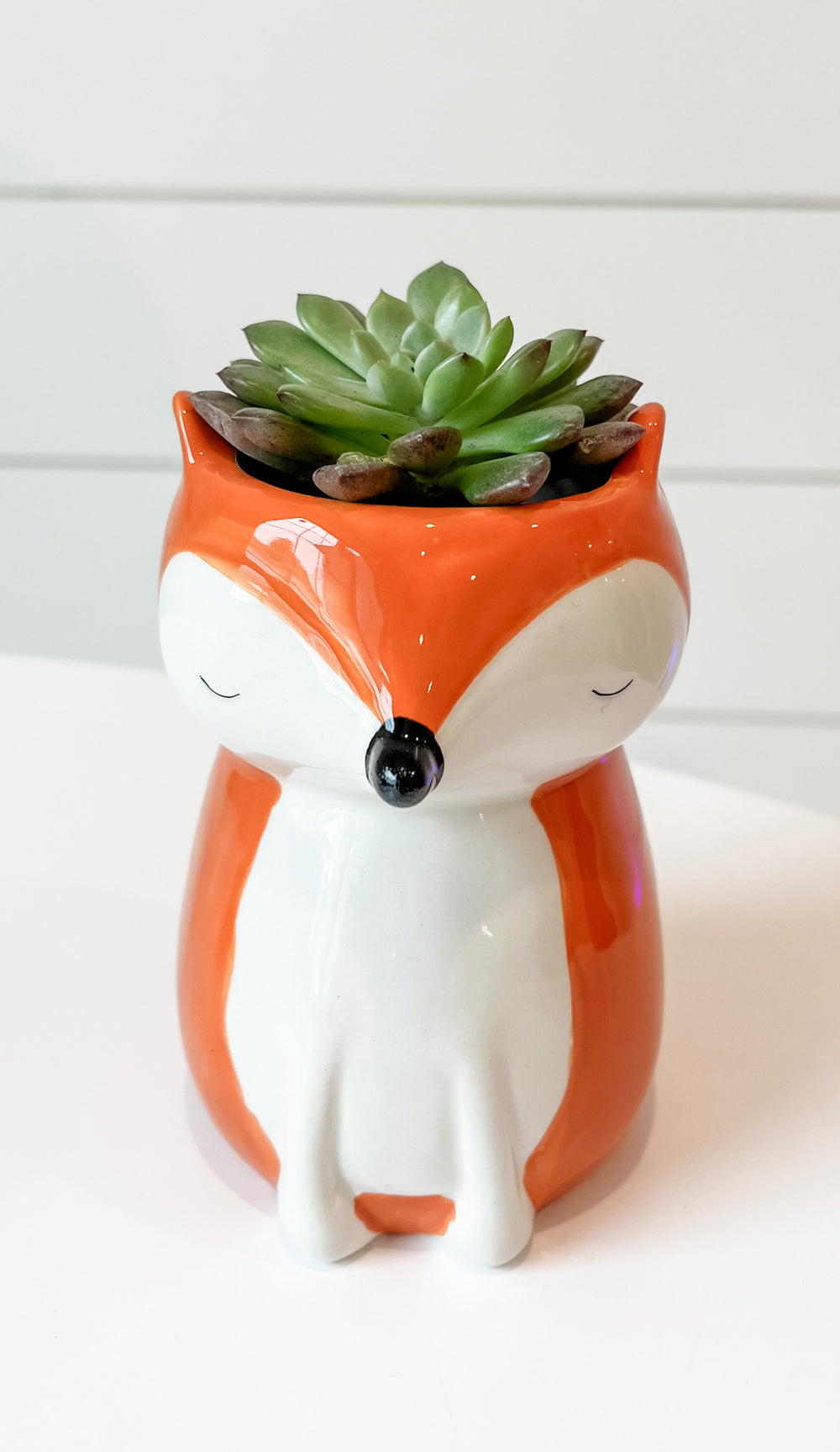 Sitting Fox Planter- Small