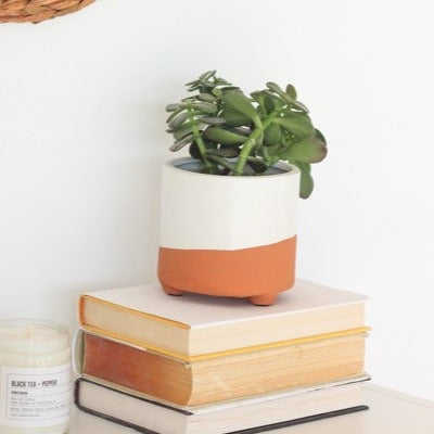 Terracotta and Matte White Planter Pot - 5