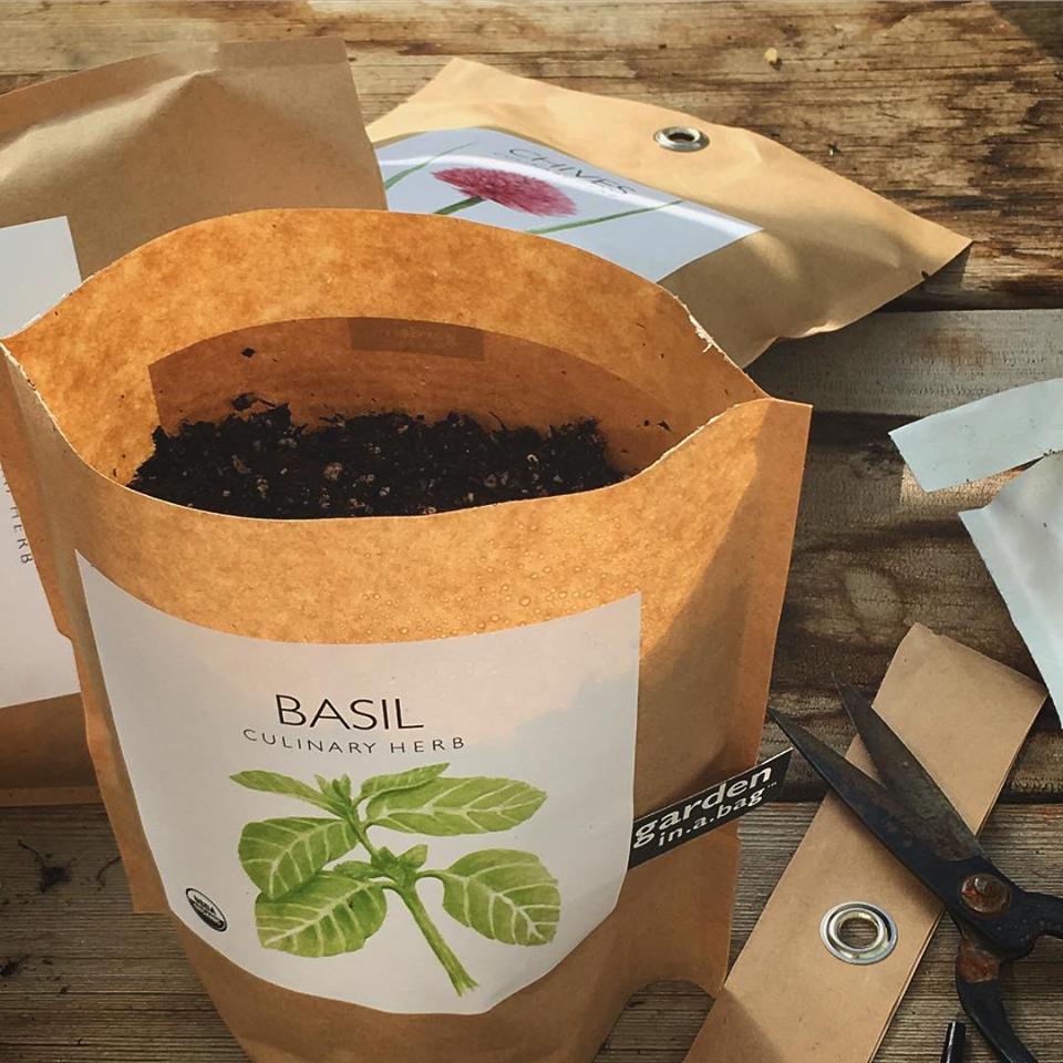 
                  
                    Garden in a Bag - Basil
                  
                