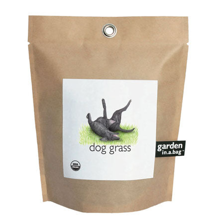
                  
                    Garden in a Bag - Dog Grass
                  
                
