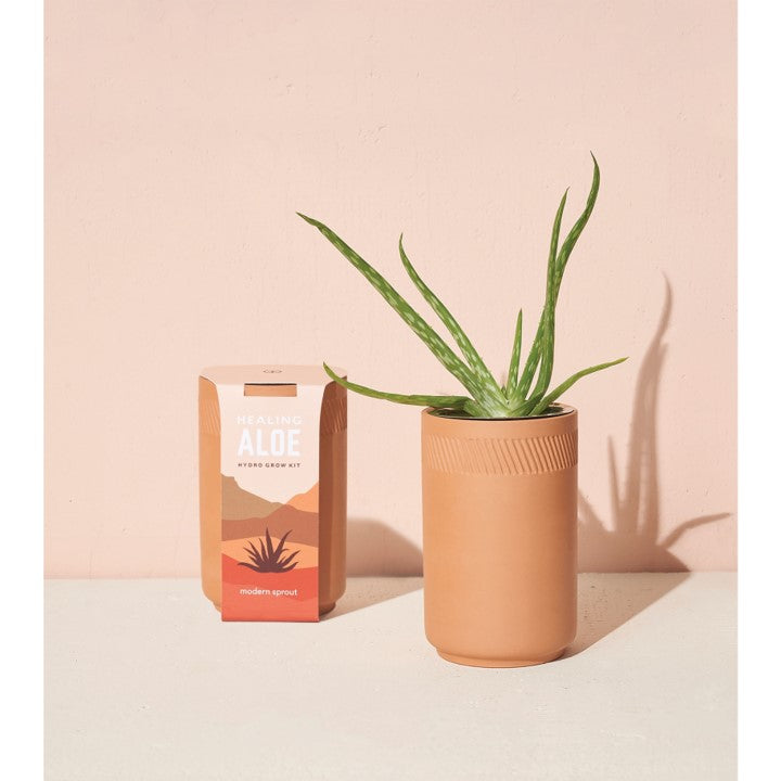 Tiny Terracotta - Aloe