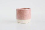 Blush Pink Planter Pot - 3"