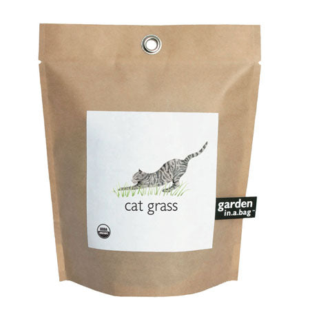 
                  
                    Garden in a Bag - Cat Grass
                  
                