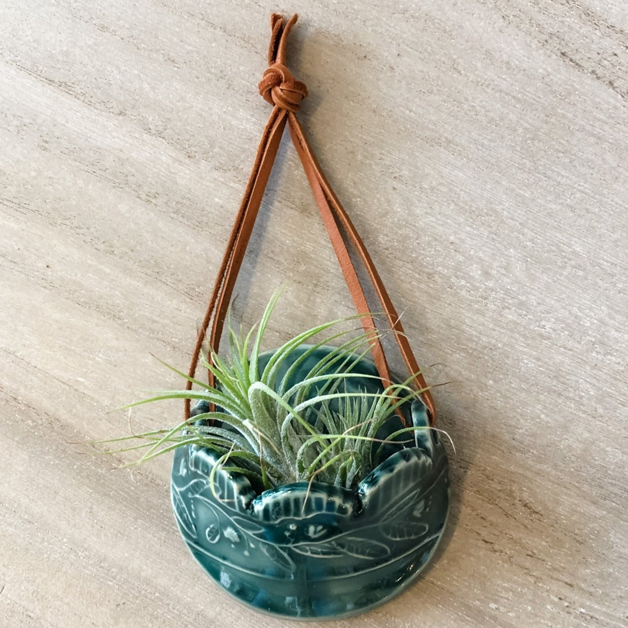 
                  
                    Ceramic Hanging Air Plant Holder - Multiple Colors Available
                  
                