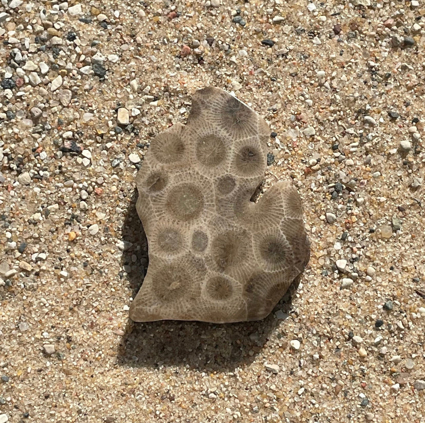 Petoskey Stone Michigan Shaped Magnet